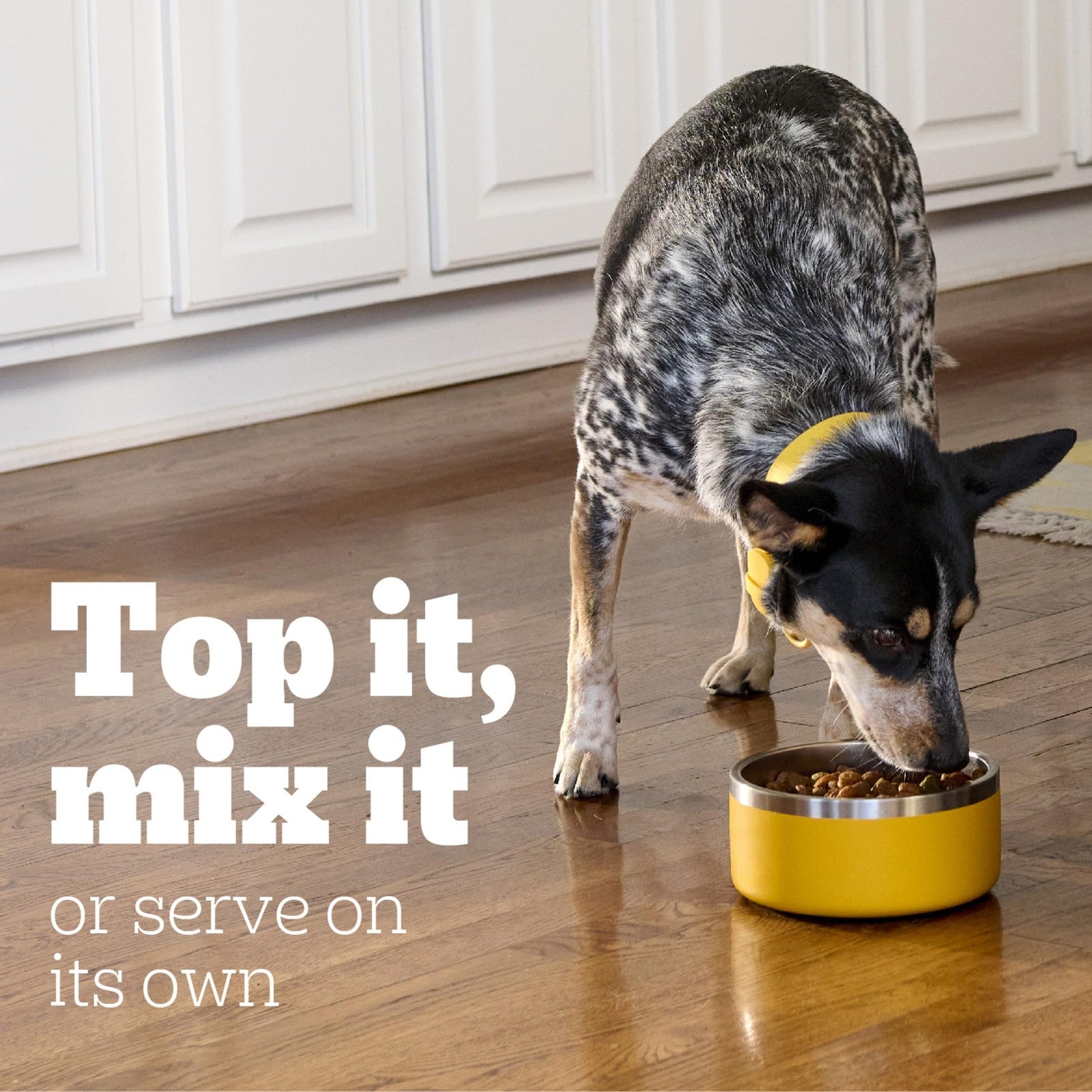 Pedigree Small Dog Tender Bites in Gravy, Chicken & Vegetable Flavor Canned Wet