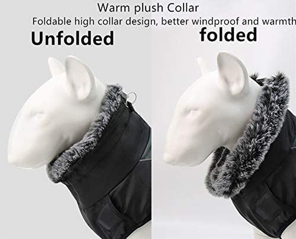 Dog Clothes Warm Autumn and Winter Big Dog Jackets Waterproof Thicken Cotton Costumes for Big Dogs Coat