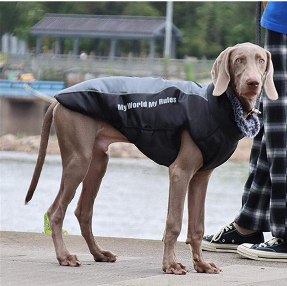 Dog Clothes Warm Autumn and Winter Big Dog Jackets Waterproof Thicken Cotton Costumes for Big Dogs Coat