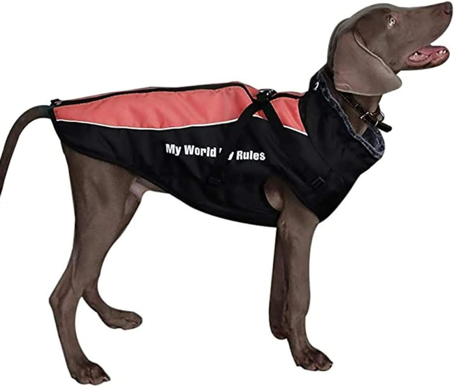 Dog Clothes Warm Autumn and Winter Big Dog Jackets Waterproof Thicken Cotton Costumes for Big Dogs Coat