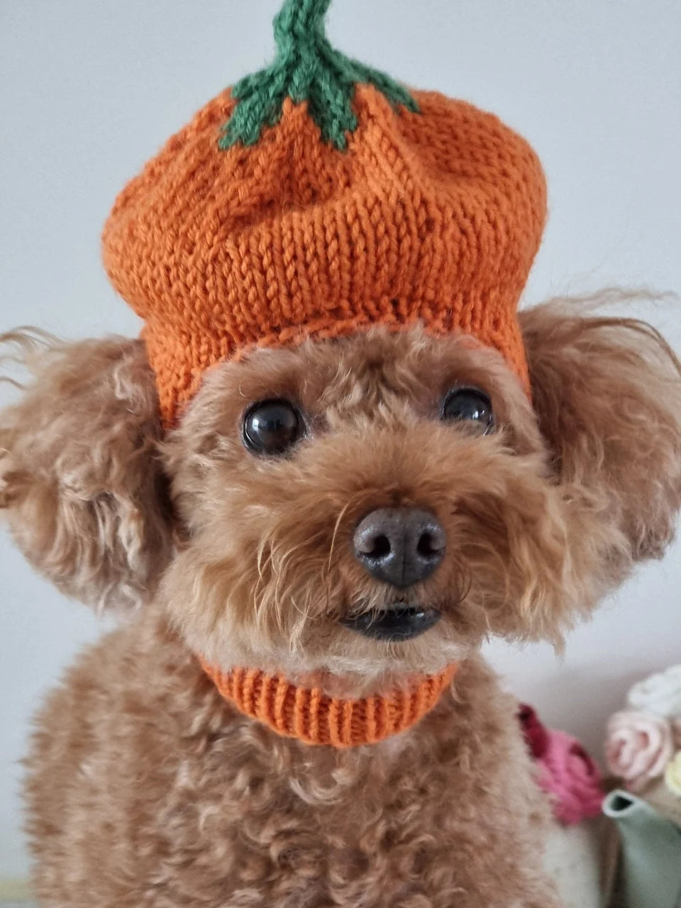 Pumpkin Hat / Knitting Pattern