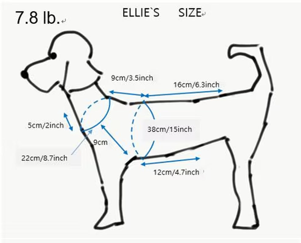 Pumpkin Hat / Knitting Pattern