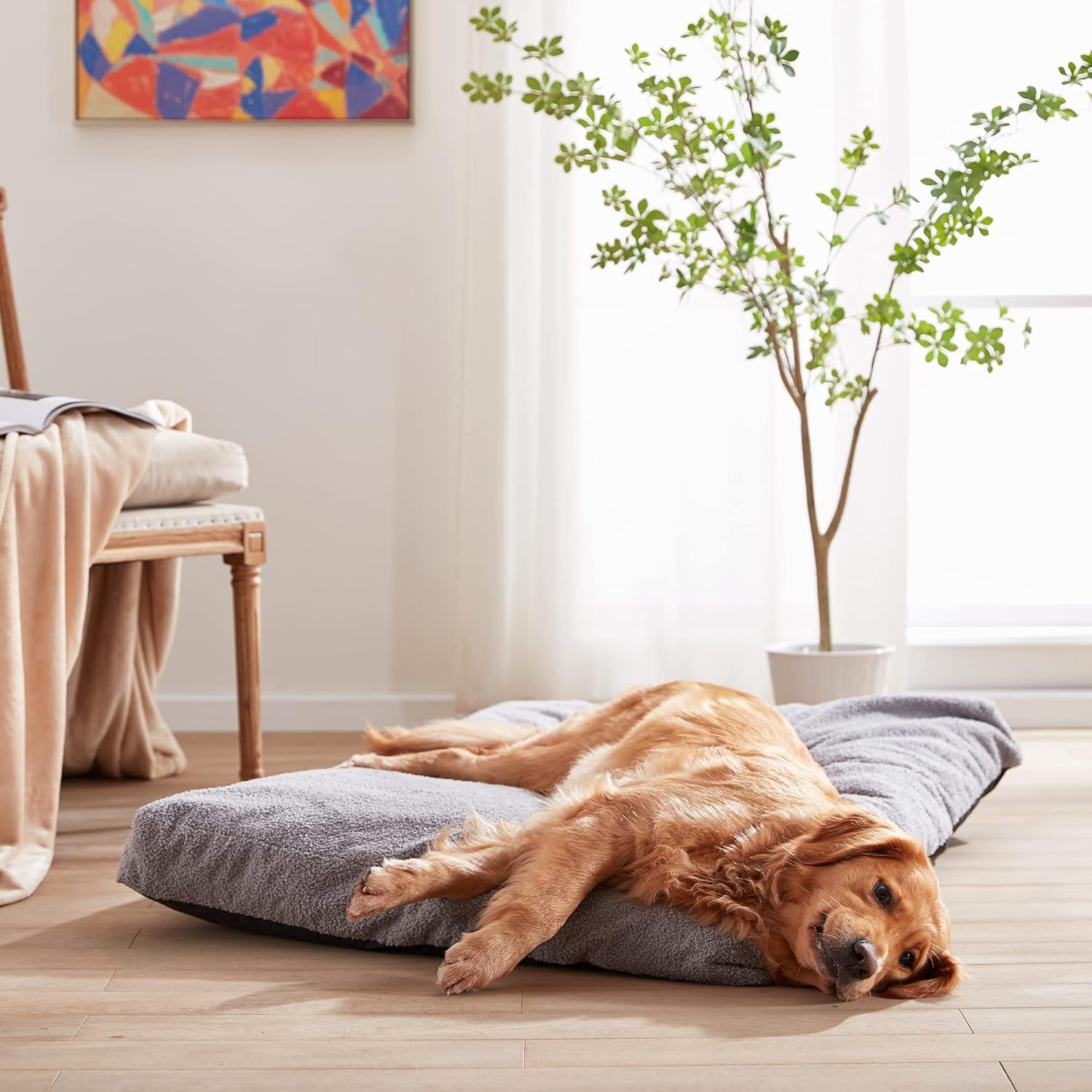 Large Orthopedic Shredded Memory Foam Dog Bed for Medium,Extra Large Dogs, Pet Cats Beds Pillow Mattress with Removable Washable Cover& Non-Slip Bottom,Size-L