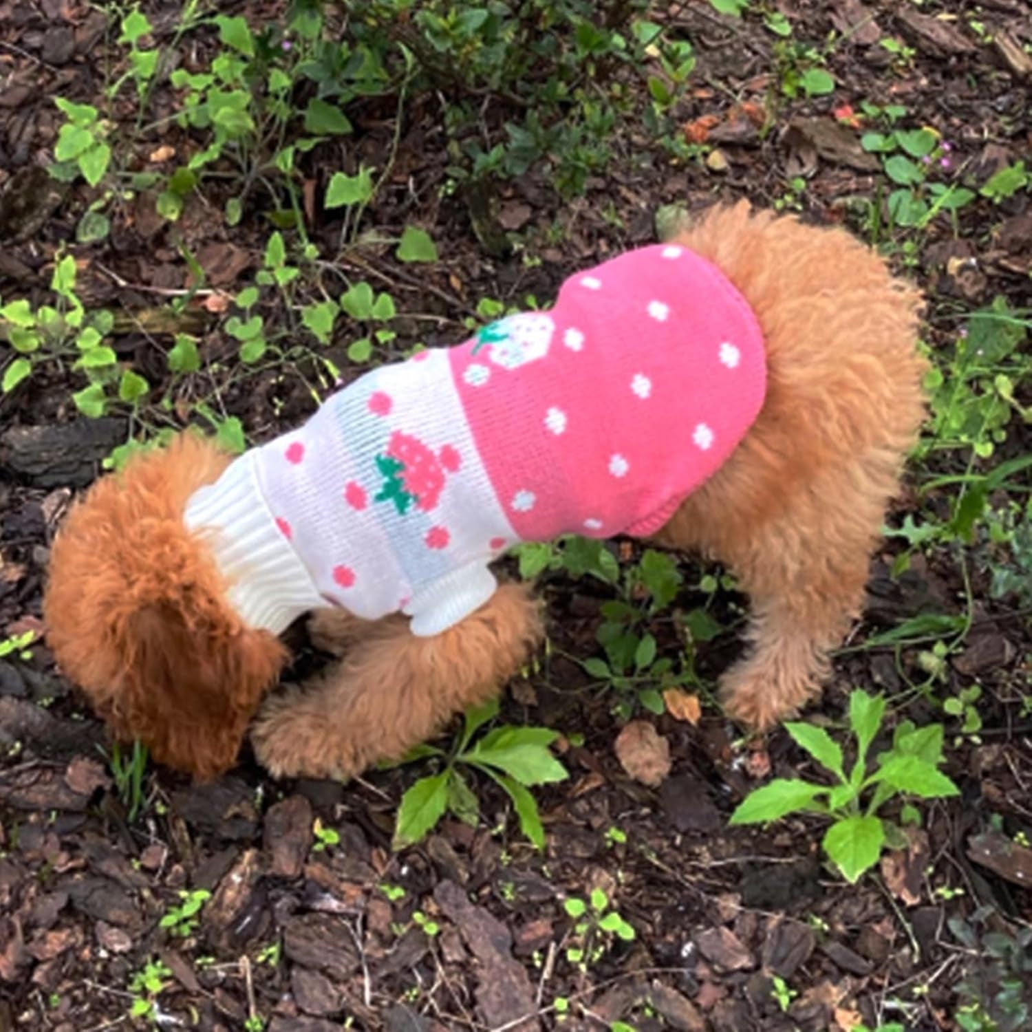 Pet Dog Sweaters Classic Knitwear Turtleneck Winter Warm Puppy Clothing Cute Strawberry and Heart Doggie Sweater (Pink, Small)