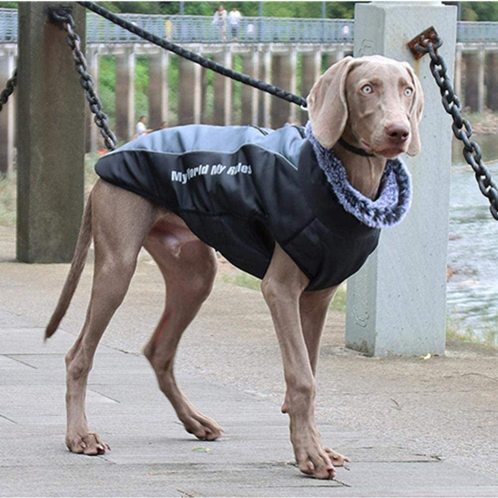 Dog Clothes Warm Autumn and Winter Big Dog Jackets Waterproof Thicken Cotton Costumes for Big Dogs Coat