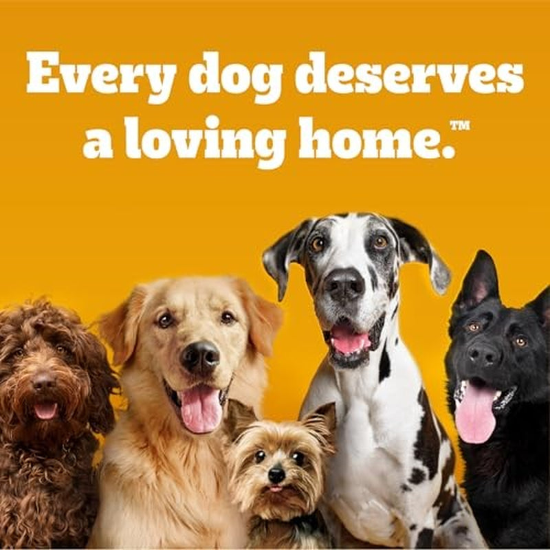 Pedigree Small Dog Tender Bites in Gravy, Steak & Vegetable Flavor Canned Wet